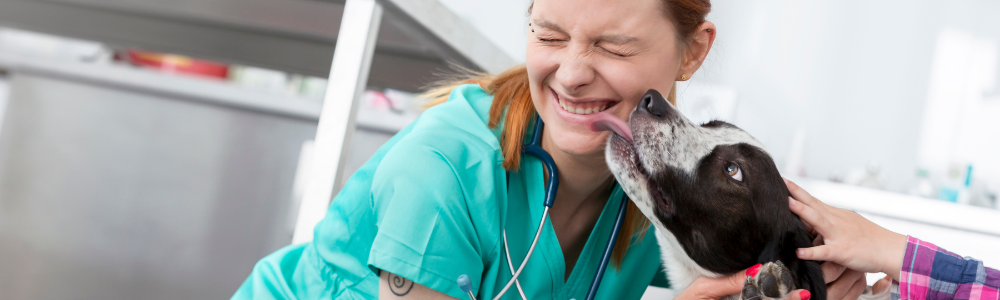 woman vet tech laughing as she's being licked by dog