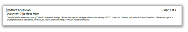 example of footer showing date, title eeoo statement, page numbers