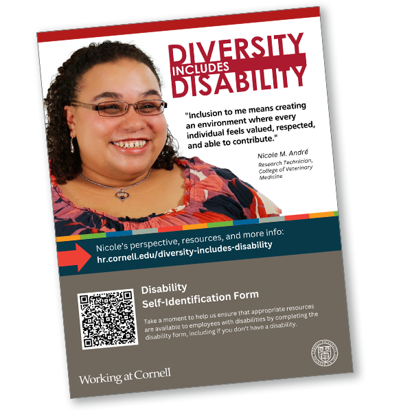 Diversity Includes Disability flyer example
