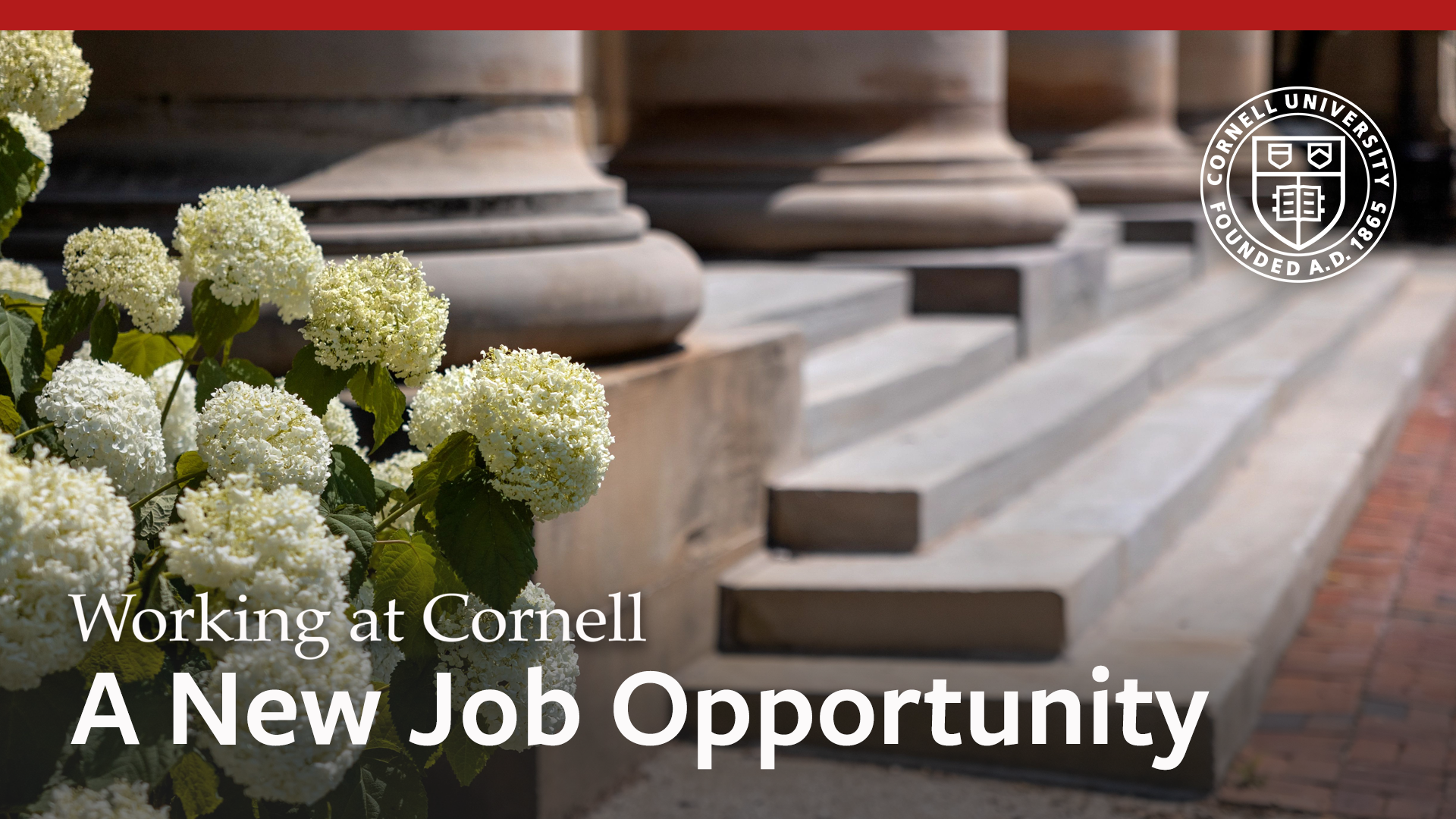 New Career Opportunity Selander Center Part Time Administrative Assistant new-career-opportunity-selander-center-part-time-administrative-assistant