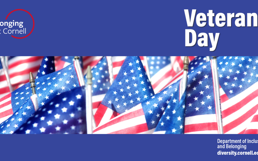 zoom background for veterans day