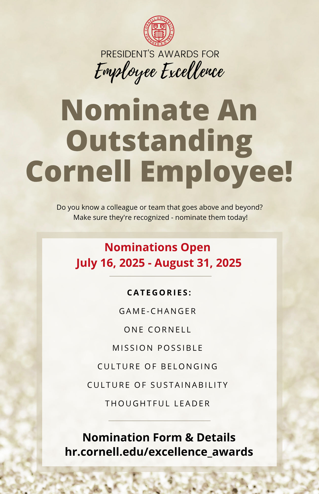 sparkly excellence awards flyer; text in webpage content