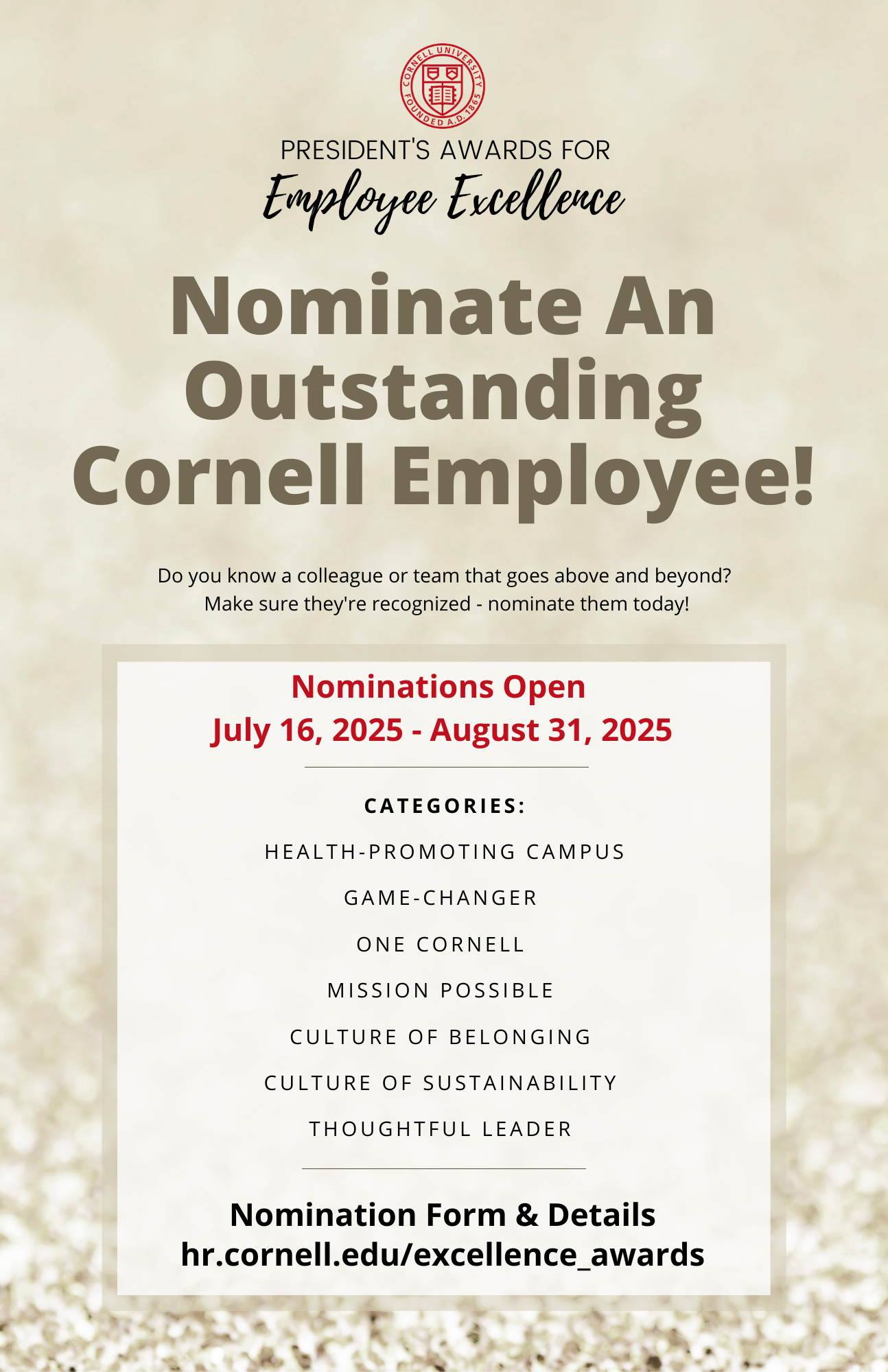 sparkly excellence awards flyer; text in webpage content
