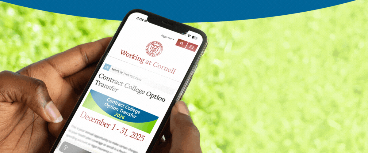 hands holding cell phone displaying Working at Cornell Option Transfer webpage; "Navigate the best way forward with your benefits."