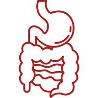 icon of digestive system
