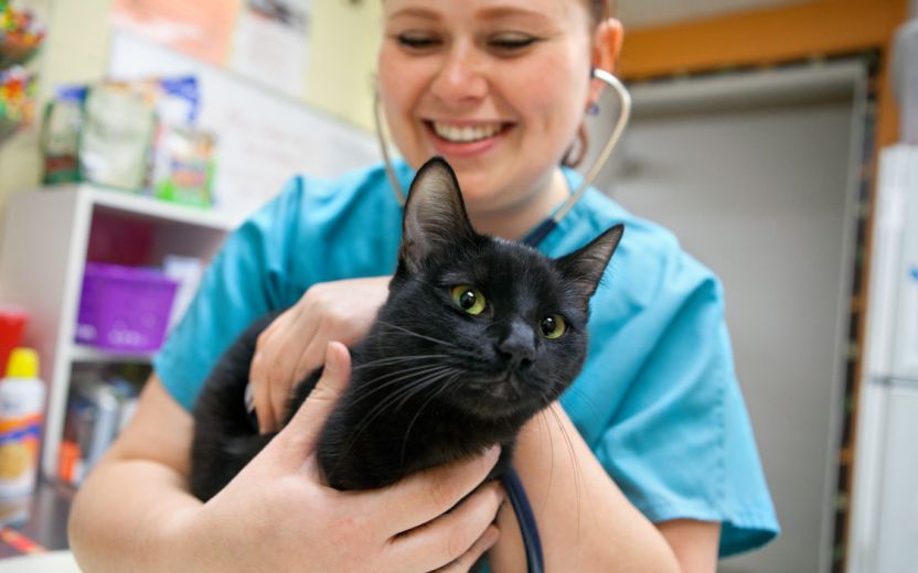 Vet Student