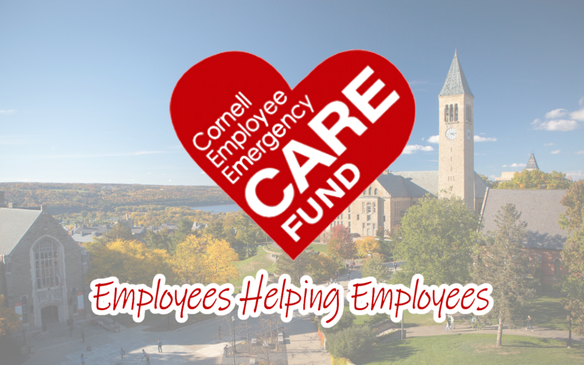 Cornell Employee Emergency CARE Fund, Employees Helping Employees; aerial photo of campus