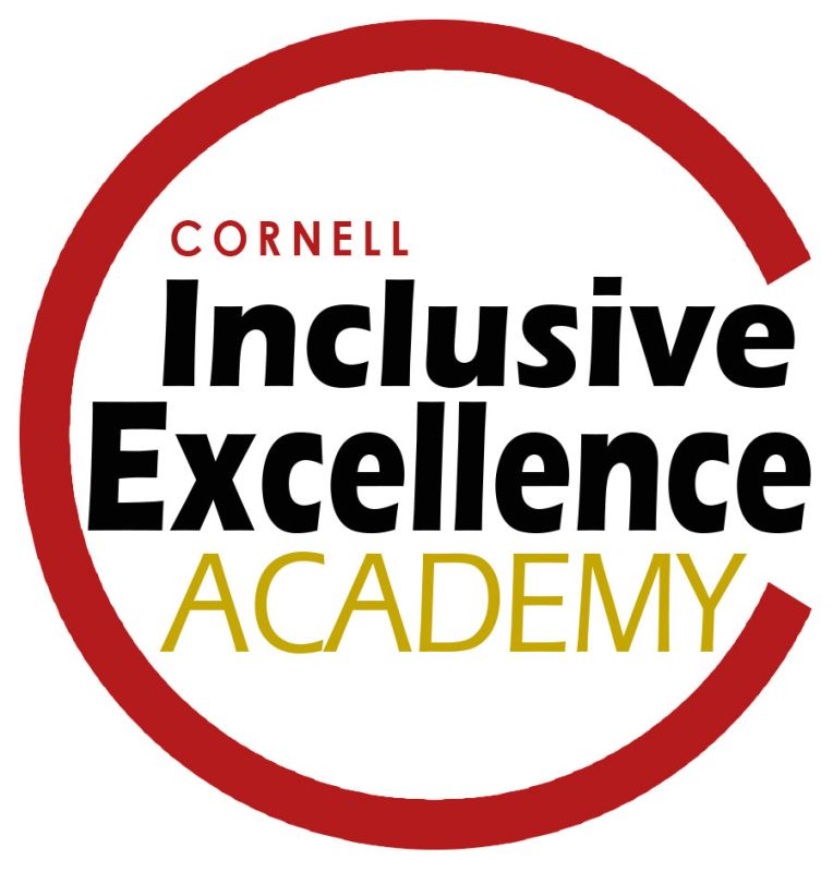 Inclusive Excellence Academy wording in circle