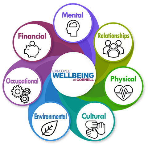 multicolored circular diagram "Employee Wellbeing at Cornell" incorporating icons for mental, relationships, physical, cultural, environmental, occupational, financial.