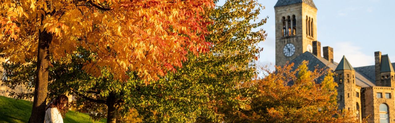 cornell campus scenic fall colors Libe slope