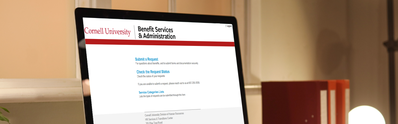 computer monitor displaying screenshot of new service landing page